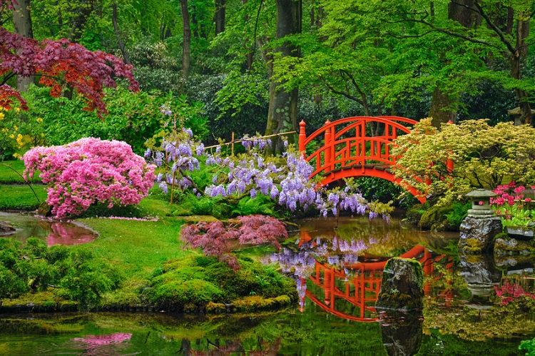 Japanese garden, Netherlands
