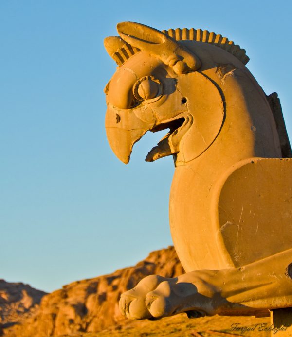 persepolis griffin evening sun